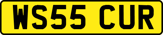 WS55CUR