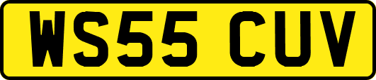 WS55CUV