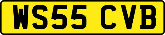 WS55CVB