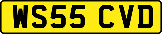 WS55CVD