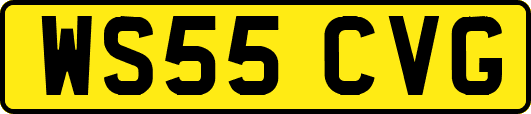 WS55CVG