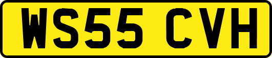 WS55CVH