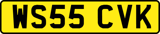 WS55CVK
