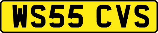 WS55CVS