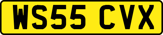 WS55CVX