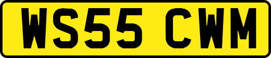 WS55CWM