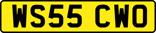WS55CWO