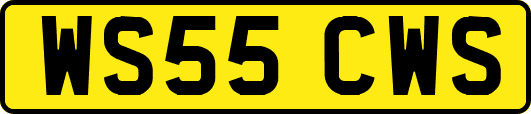 WS55CWS