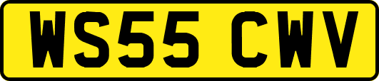 WS55CWV