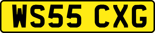 WS55CXG