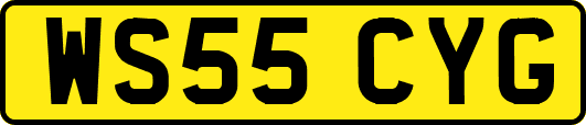 WS55CYG
