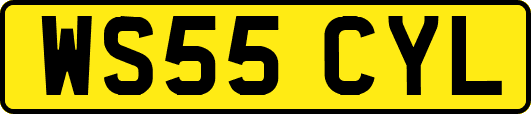 WS55CYL