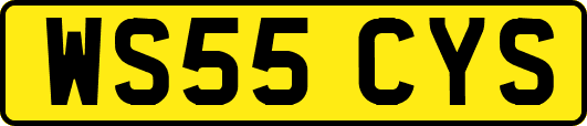 WS55CYS