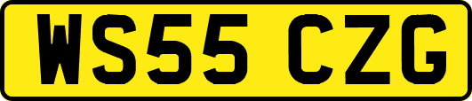 WS55CZG