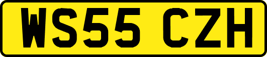 WS55CZH