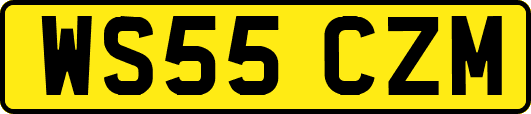 WS55CZM