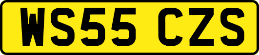 WS55CZS