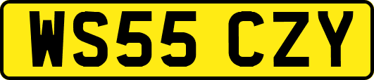 WS55CZY