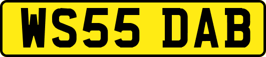 WS55DAB