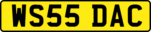 WS55DAC