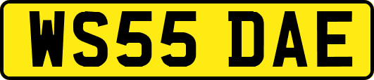 WS55DAE