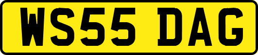 WS55DAG