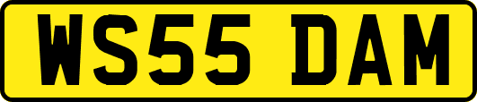 WS55DAM