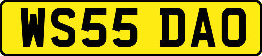 WS55DAO