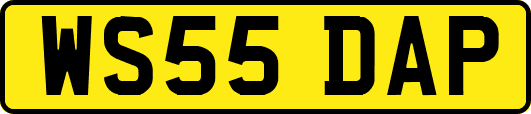 WS55DAP