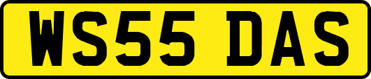 WS55DAS