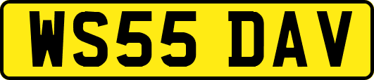WS55DAV