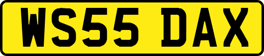 WS55DAX