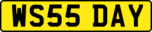 WS55DAY