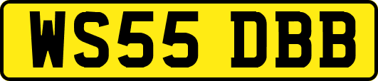 WS55DBB