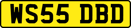 WS55DBD