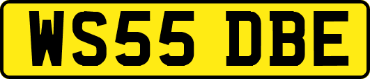WS55DBE