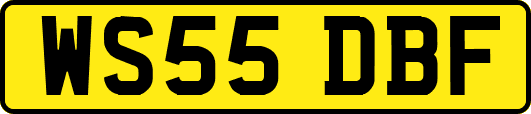 WS55DBF
