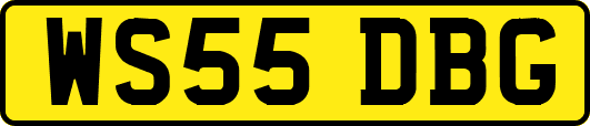 WS55DBG
