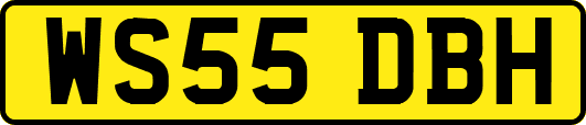 WS55DBH