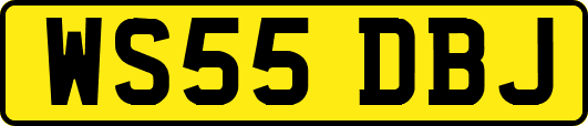 WS55DBJ