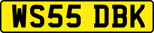 WS55DBK