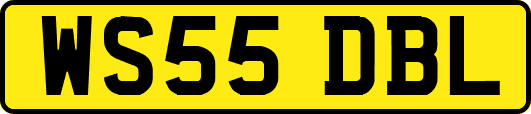 WS55DBL