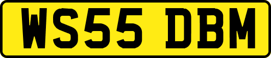 WS55DBM