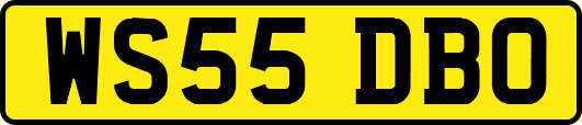 WS55DBO