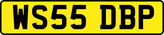 WS55DBP