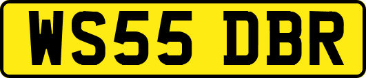 WS55DBR
