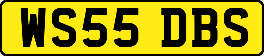 WS55DBS