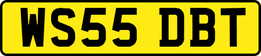 WS55DBT