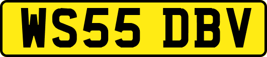 WS55DBV