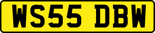 WS55DBW